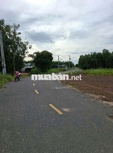 Cần sang nhanh lô đất mặt tiền DH507 An Linh Phú Giáo giá rẻ, SHR