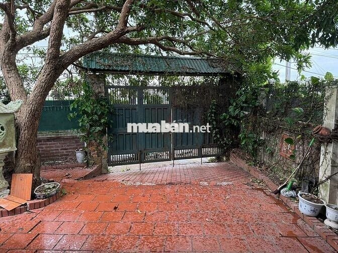 BÁN ĐẤT TẶNG NHÀ VIEW SÔNG ĐUỐNG – PHONG THUỶ ĐẸP TẠI GIANG BIÊN, LB