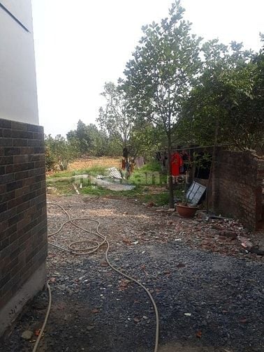 CHÍNH CHỦ CHO THUÊ ĐẤT TRỐNG 600M2 LÀM KHO BÃI XƯỞNG HAY CHĂN NUÔI CHÚ