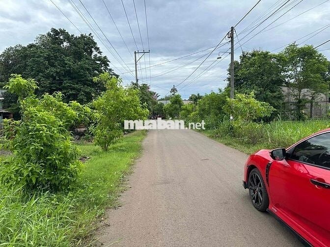 bán đất gia đình 1 Lô *** tại xã sông trầu chính chủ