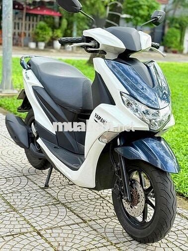 Freego 2019 đèn led abs biển 43