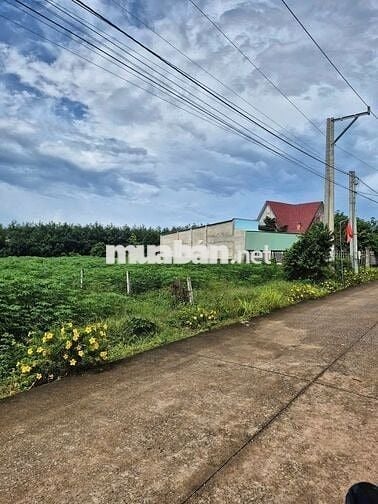 Khách Cần Sang Nhượng Lại Lô Đất Ở Xã An Linh