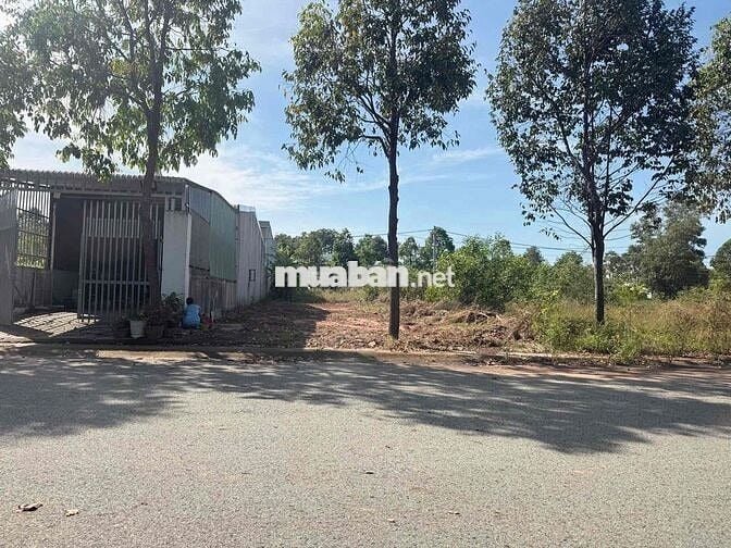 GIÁ 910TR RA LÔ ĐẤT 300M2 MỸ PHƯỚC 4 GẦN ĐH VIỆT ĐỨC - SỔ SẴN