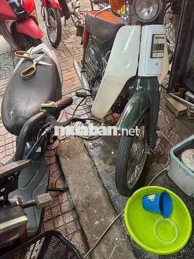 Honda Cub 86 màu Xanh rêu