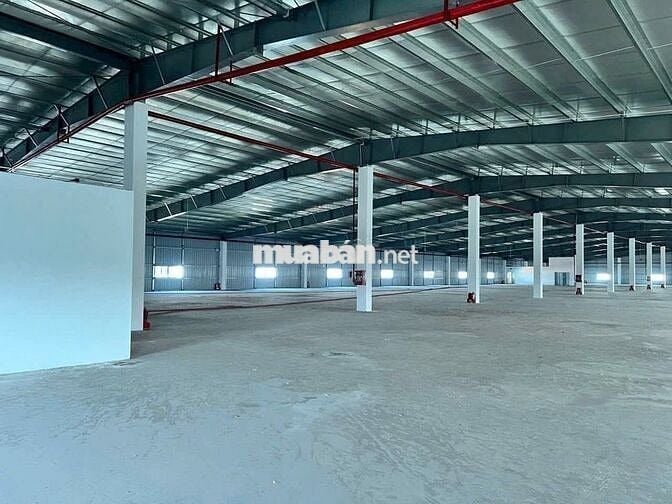 Cho thuê kho xưởng 9.000m2 , trong KCN Đức Hòa , Long An, PCCC tự động