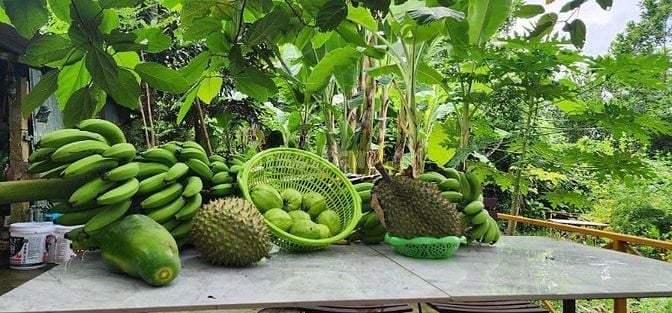 CẦN BÁN NHÀ VƯỜN 4600M GẦN KDL BÀ NÀ ĐẦU TƯ SINH LỜI TỐT