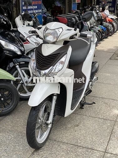 vision 2016bstp, bao ngon zin