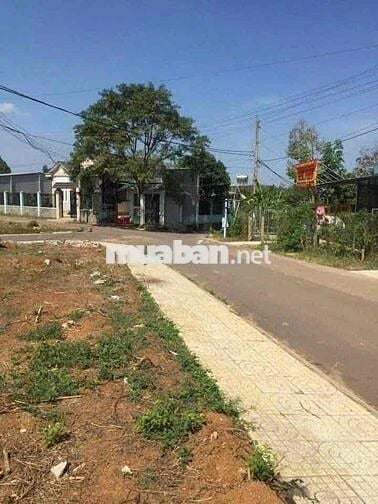 Kẹt Tiền Bán Gấp Đất Gần Thị Trấn Dầu Tiếng