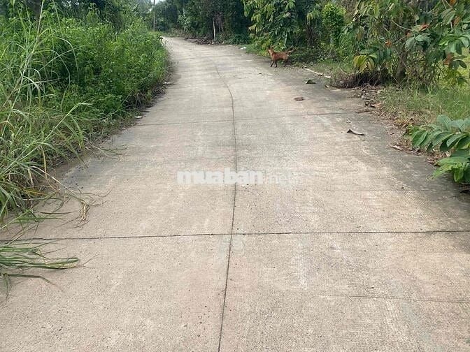 chín chu gửi đất nhi bình (5x34) giá 5 ty 5