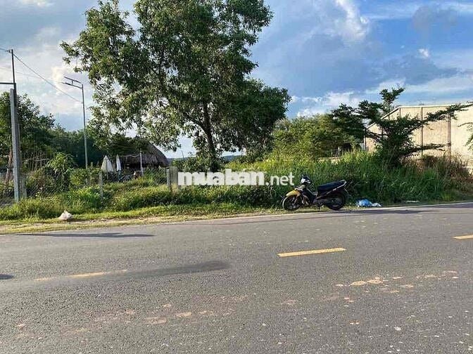 Cưới vợ cho con trai nên cần bán ra lô đất mt đường huyện đông dân
