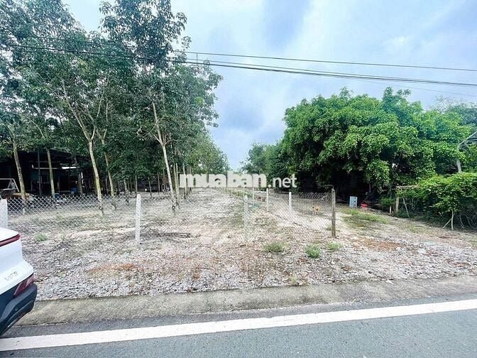 Lô Đất Mặt Tiền DH519 Cần Sang Nhượng Gấp Giá Rẻ