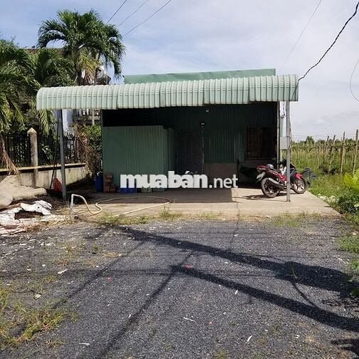 Cần sang lại 6000m2 vườn hợp đồng 5 năm