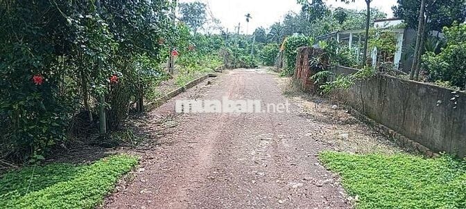 Bán đất 2 mặt tiền An Bình 83. Ngay KCN. Giá nát