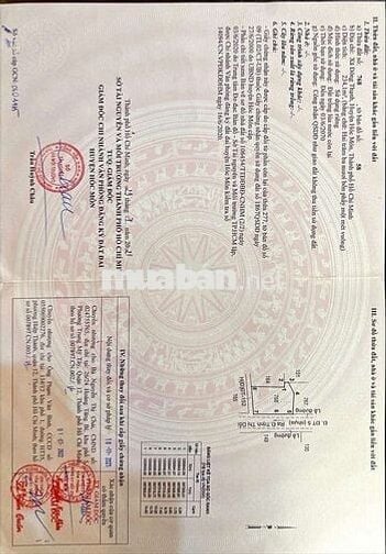 ĐẤT GÓC 2 MẶT TIỀN ĐƯỜNG ĐÔNG THẠNH 5,DT:235m2, SHR, CÁCH HL80 CHỈ 50m