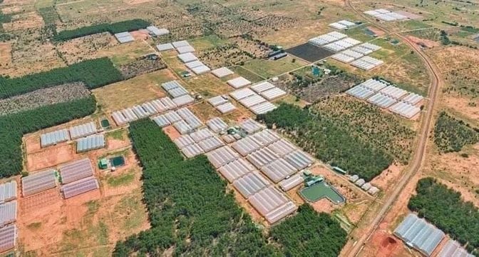 **CHÍNH CHỦ BÁN LÔ ĐẤT ĐẸP – GẦN 5 HA + 300M² THỔ CƯ – THÔN 2, XÃ HÀM 