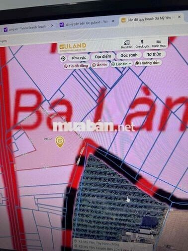 ĐẤT TRỒNG DỪA ĐANG CHO THU HOẠCH CHỦ KẸT BÁN GẤP CHỈ 2tr3/m