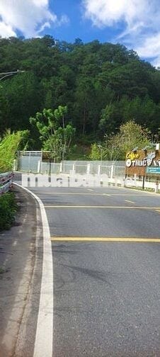 BÁN ĐẤT mặt tiền MiMosa ql20 ngang mặt tiền đường 100m