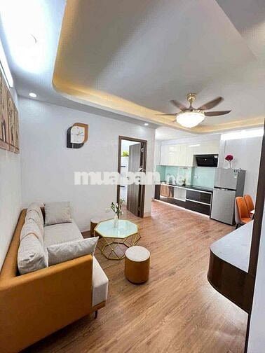 Bán CCMN Thoáng Đẹp- Sổ Hồng Từng Căn- Phương Mai, Đông Tác