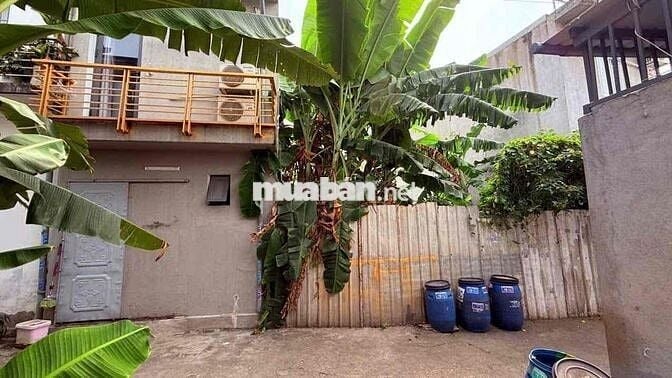 Đất gần Nguyễn Thái Học, phường Dĩ An, TP Dĩ An.