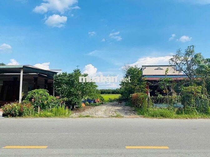 ĐẤT MT BASA PHƯỚC HIỆP 153M2 FULL THỔ SHR CHỦ NGỘP CẦN BÁN GẤP 400TR