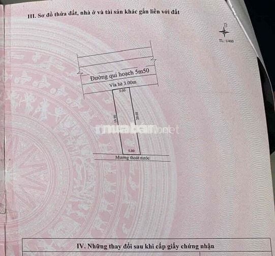 chỉ bốn sáu triệu/1m2 có ngay lô đất đẹp Sát Biển Tân Trà