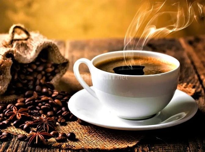 🌿✨ CẦN NGƯỜI PHỤ BÁN CAFE TẠI QUÁN ✨🌿
