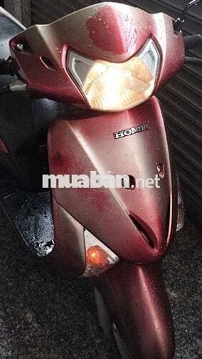 Xe CỌP HONDA NHẬP KHẨU