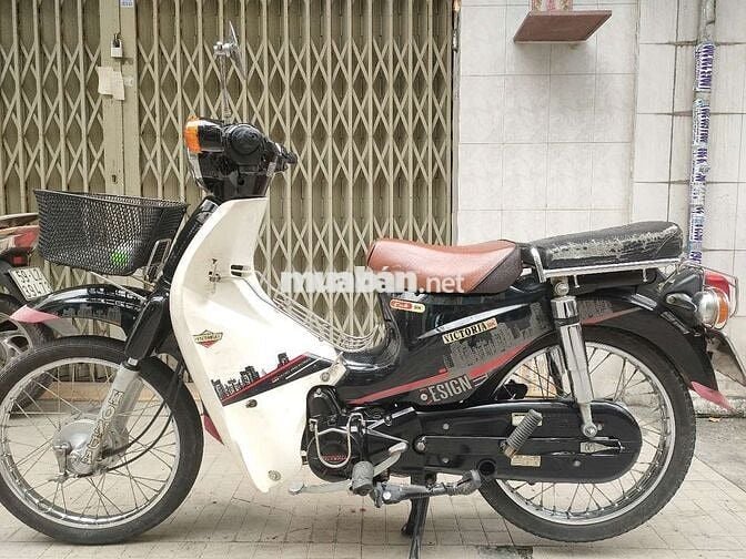xe cub50 cho học sinh bstp