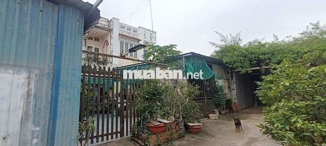 CHÍNH CHỦ cho thuê nhà nguyên căn gần chợ Phú Thuận Quận 7