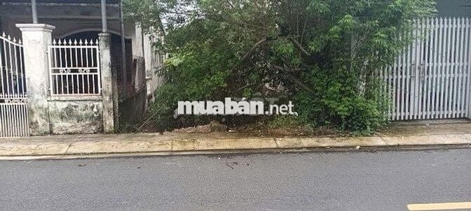 Đất thị trấn giá rẻ như cho 219m2 1/ TL8 làm việc chính chủ 1,28 tỷ