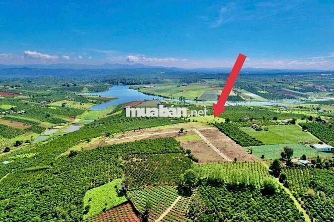 Đất View hồ sổ sẵn gần Đà Lạt - Phúc Thọ Lâm Hà