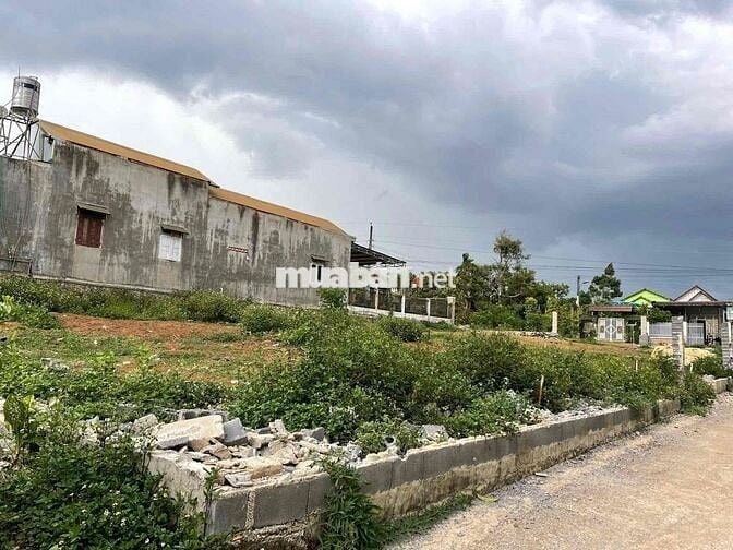 Đất thổ cư Bảo Lộc, Lâm Đồng - Dân cư đông, tiện ích - 107m2 - 998tr