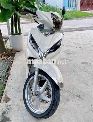 SYM Shark màu Trắng