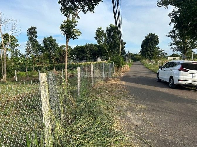 Đất mặt tiền đường nhựa có thổ cư sẵn 300m giá 2.5tr/m2 ở Trảng Bom