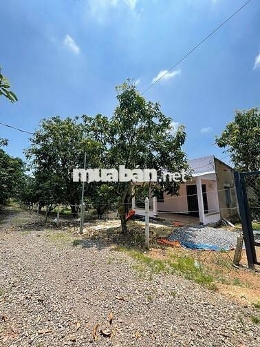 HẠ GIÁ - CẦN BÁN 7 SÀO 1 ĐẤT VƯỜN - CÓ NHÀ