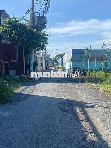 🌹Lên Sóng 5 Lô FO-5 X 24m Có Giá Cho Kinh Doanh- MT Nhựa 9m