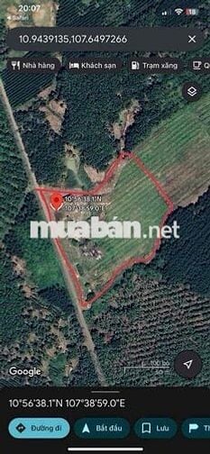 Hạ giá 1tỷ , Giá mới 5tỷ Chính chủ cần bán đất xã suối kiết, huyện tán