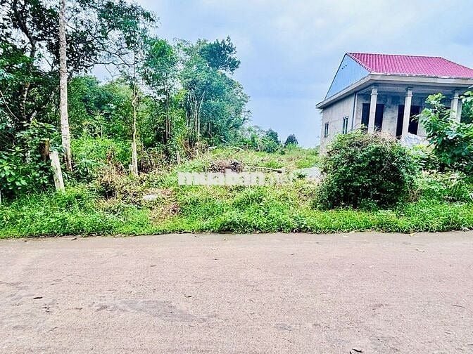 🔥 Bán lô đất mặt tiền Vũ Ngọc Phan -KHÔNG NGẬP LỤT– Giá siêu tốt!