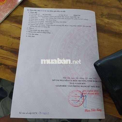 Cách đường tránh đông khoảng 200m