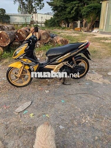 Yamaha màu Vàng đen