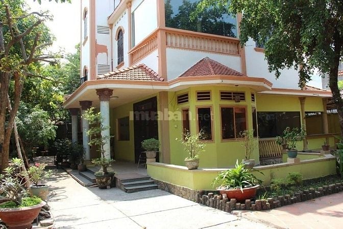 Cho thuê Biệt Thự sân vườn : Đường Thống Nhất, Phường 11, Quận Gò Vấp