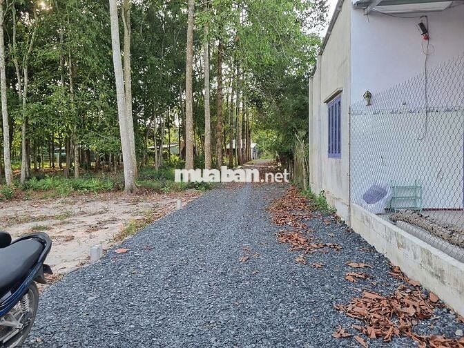 5x52 có thổ. Đường thông. Gần trường học. 350tr