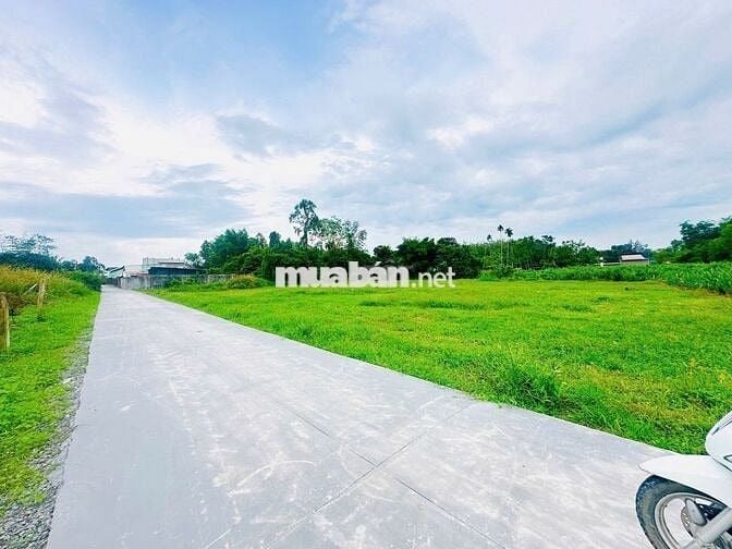 5x40m Full Thổ Cư. Đường BêTông 4m. Sổ Hồng Riêng. Chỉ 550Tr