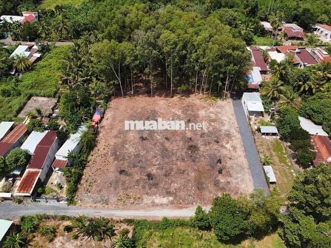 350 Triệu. 5x52m Có Thổ Cư. Nằm Trong Trung Tâm Khu Dân Cư.