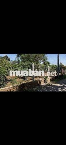 Cần Tiền nên Bán Lô Thổ Cư 186m2 đường nhựa Lớn cho ai muốn An Cư