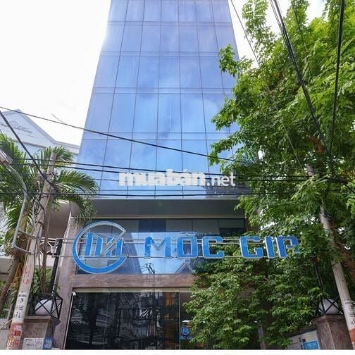 Văn Phòng Cho Thuê Mặt Tiền Lam Sơn, Sát Sân Bay Cách 5 Phút Di Chuyển