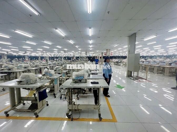 Cho thuê kho xưởng may Hương Lộ 2 , Mã Lò , Bình Tân , PCCC tự động