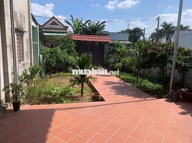 CHO THUÊ NHÀ PHƯỜNG TÂN HẠNH GIÁ 5,5 TRIỆU