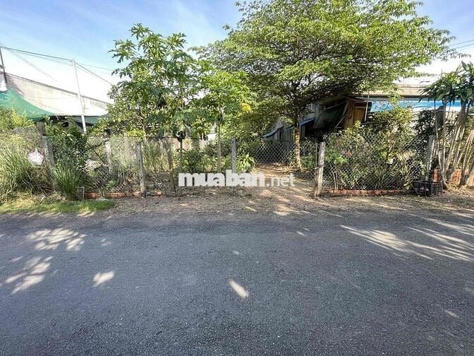 bán đất mặt tiền lộ nhựa xã phú hưng cách chợ giữa 300m