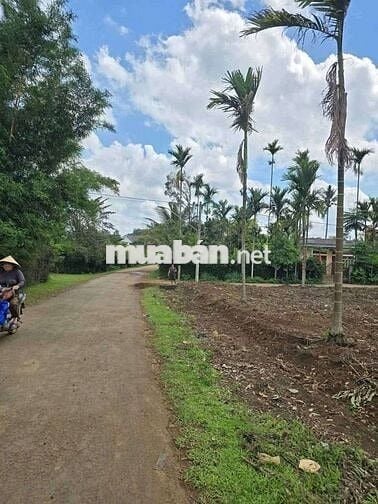 Trục chính Tara đường nhựa, hẻm cấp 1 Quốc lộ 26